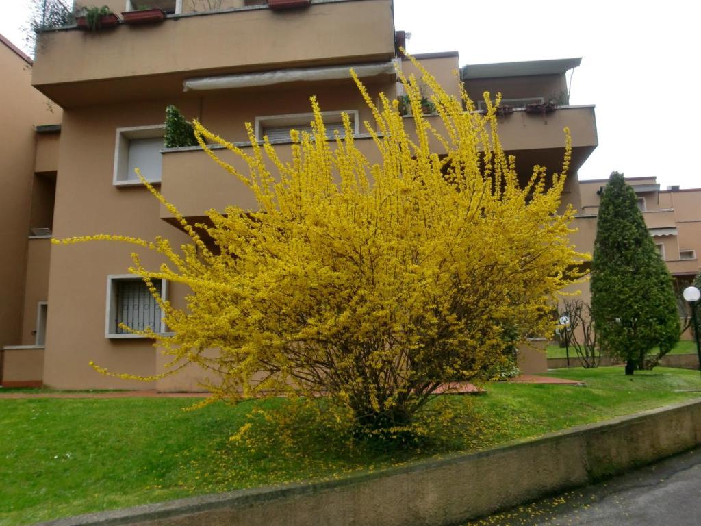 Residence La Madonnina Peschiera del Garda Exterior foto